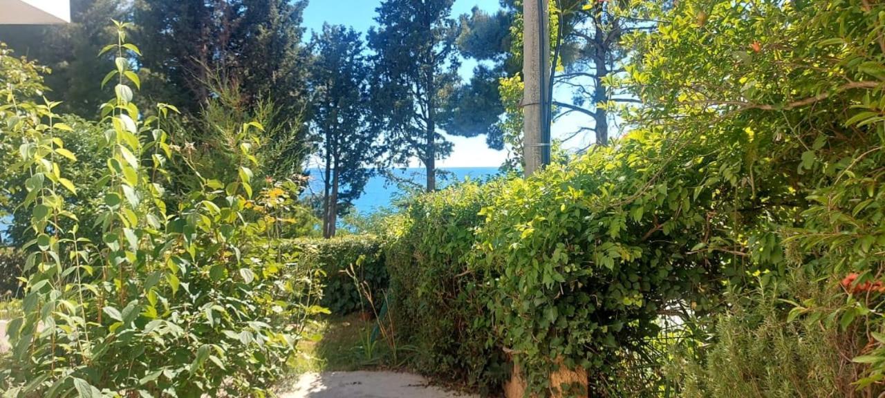 Apartmani Sunce Bar Rum bild